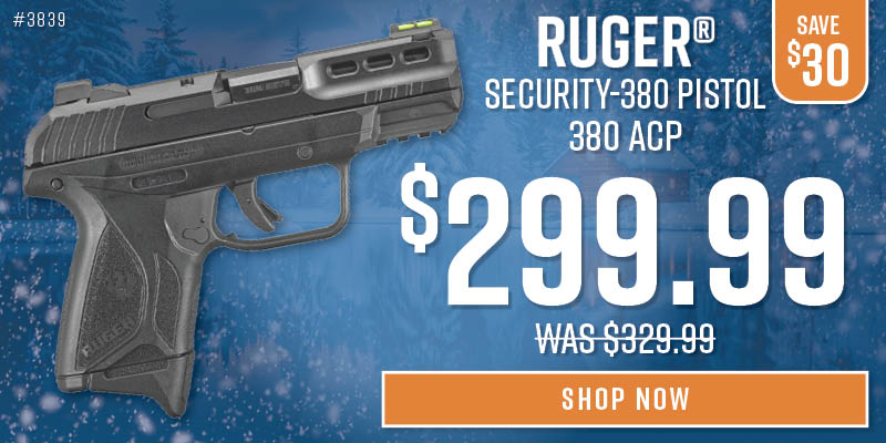 Security 380 Pistol - MF